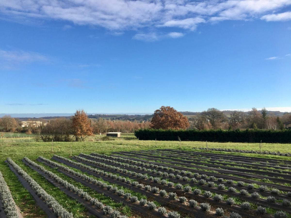 Domaine D'Elusa Vic-Fezensac Eksteriør billede