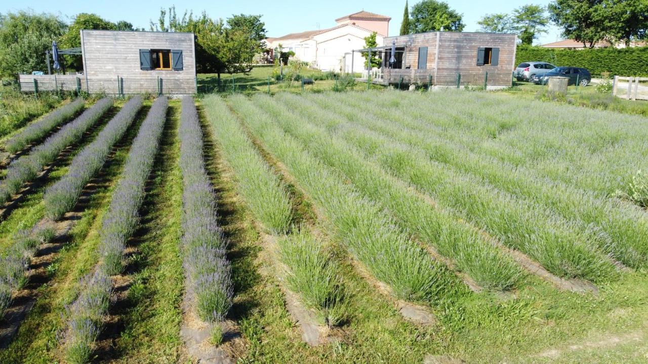 Domaine D'Elusa Vic-Fezensac Eksteriør billede