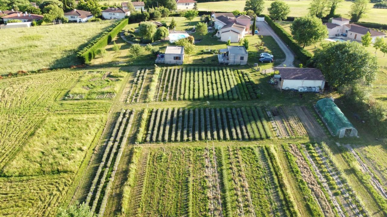 Domaine D'Elusa Vic-Fezensac Eksteriør billede